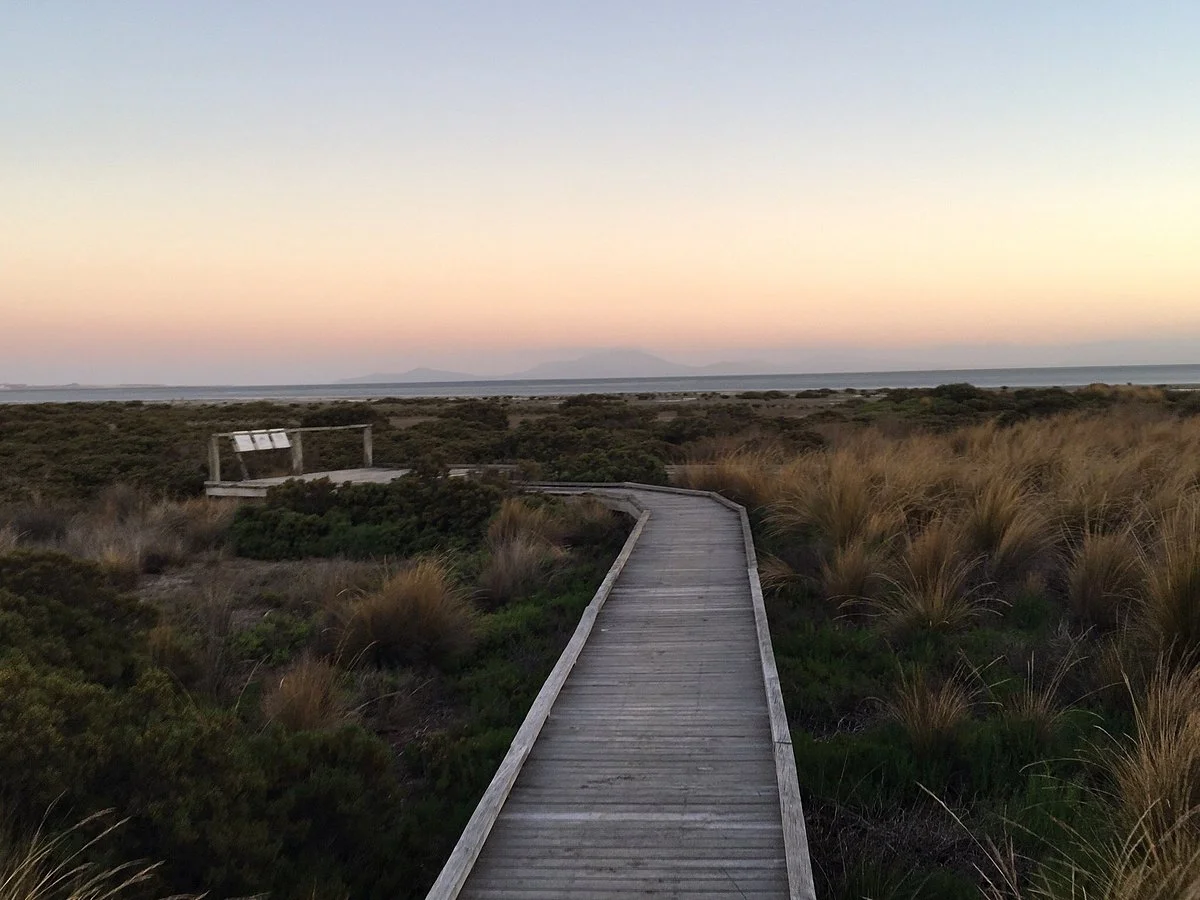 Toora Bird Hide