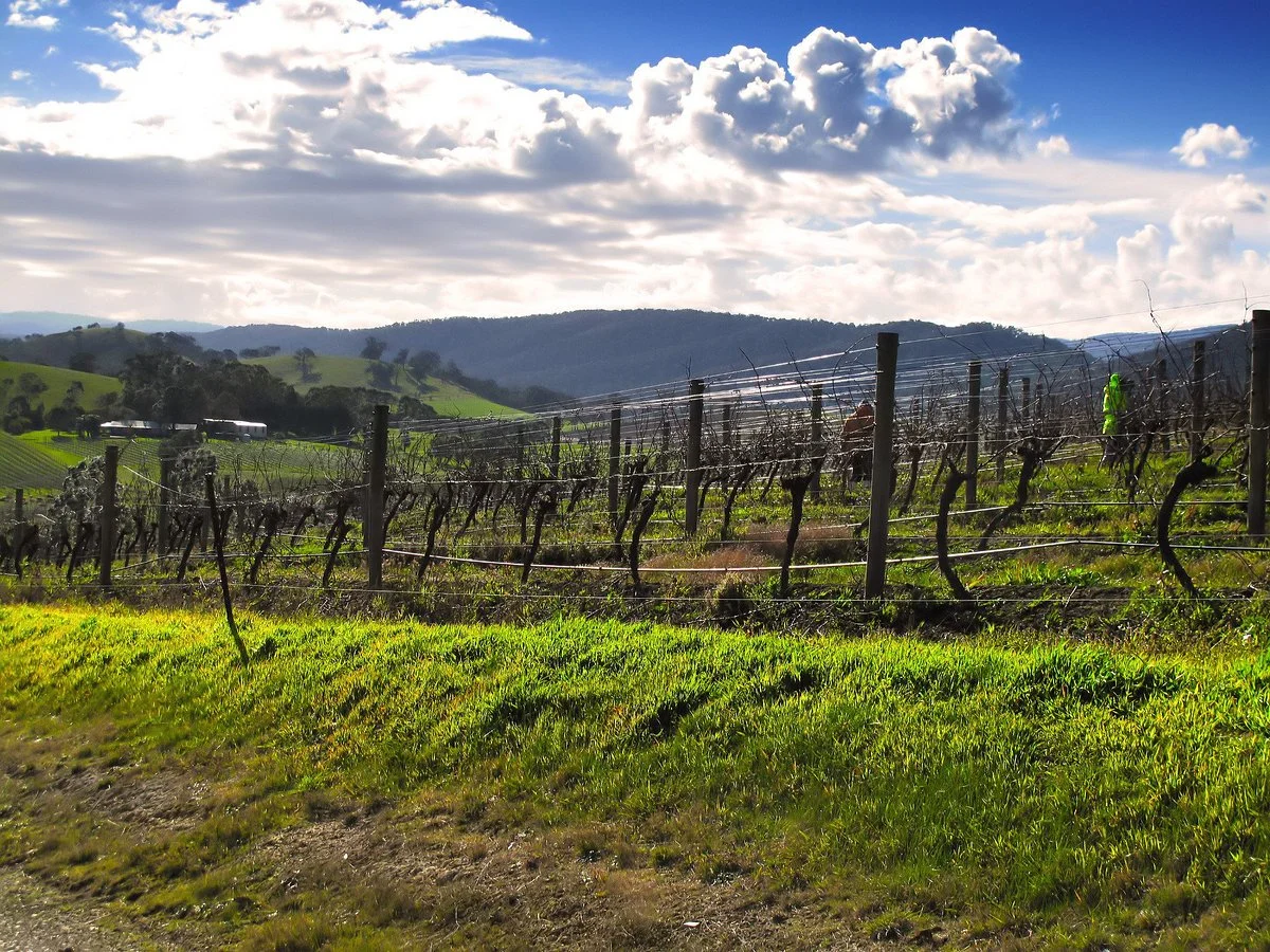 Dixons Creek Estate