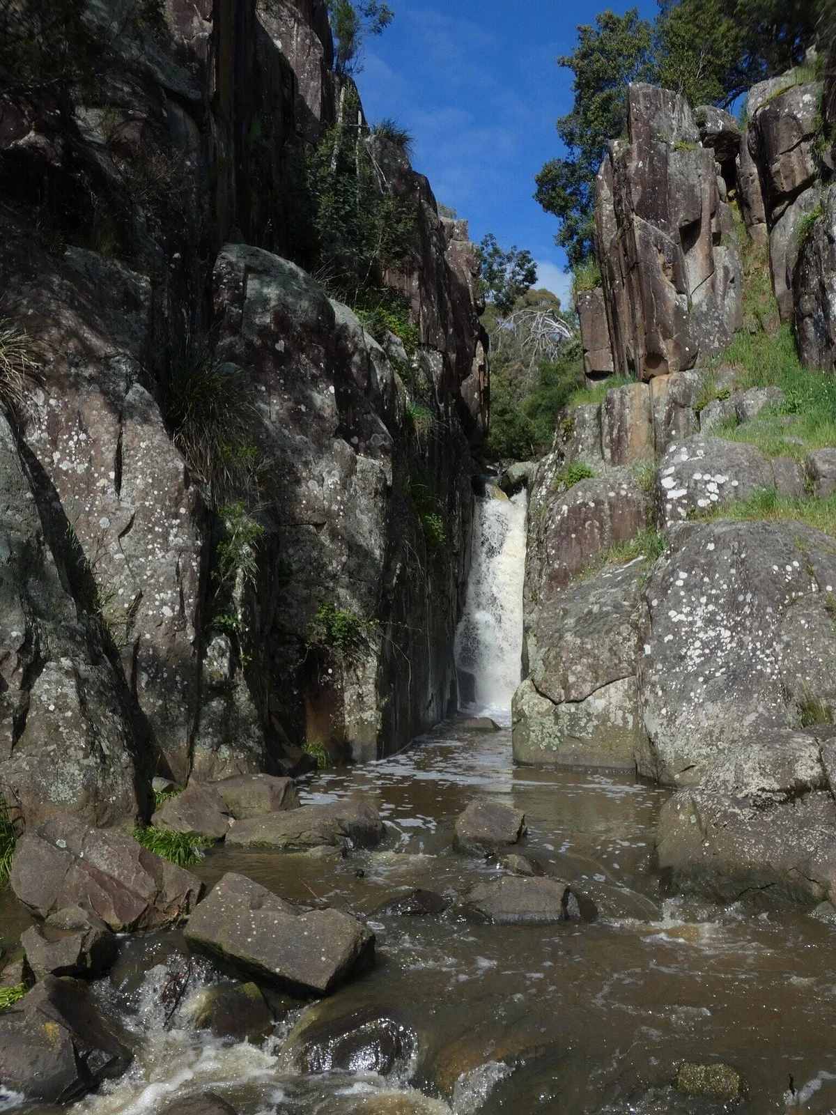 Punchbowl Reserve