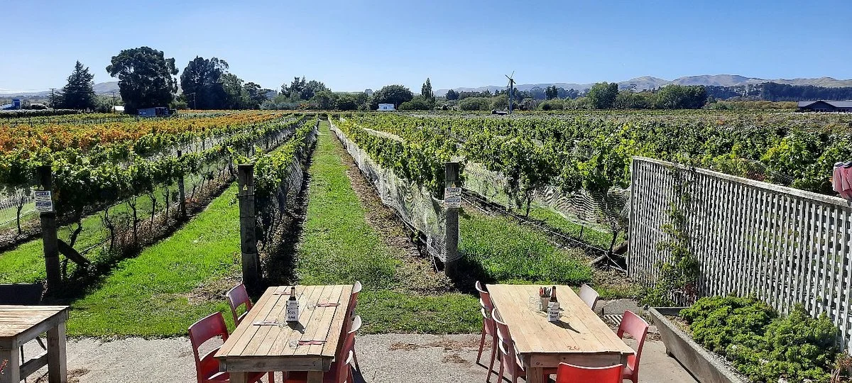 Margrain Vineyard