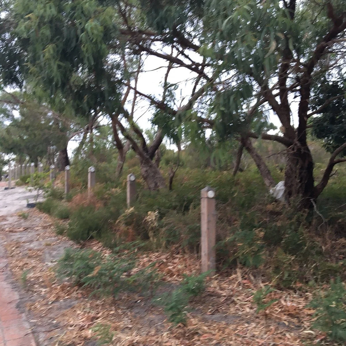 Clifton Reserve