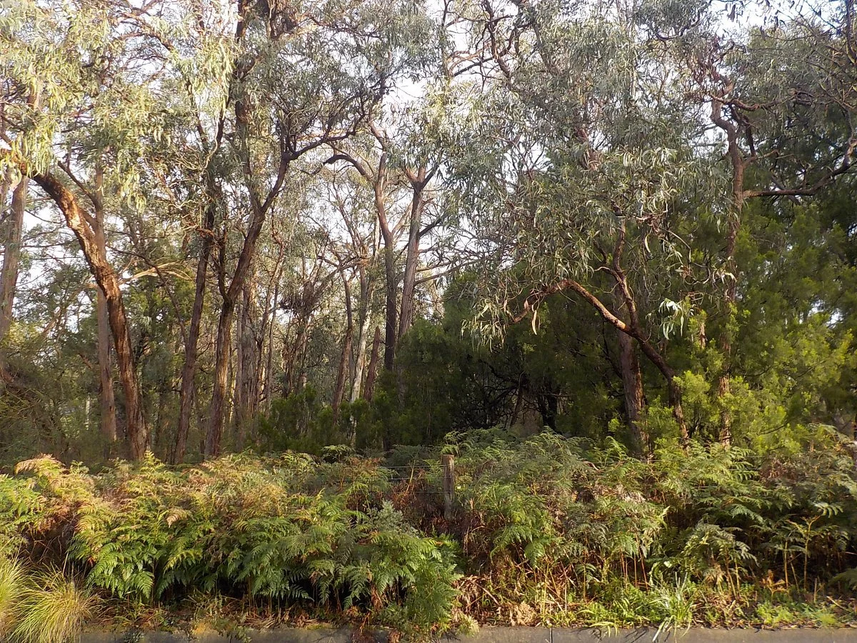 Cheong wildflower Sanctuary