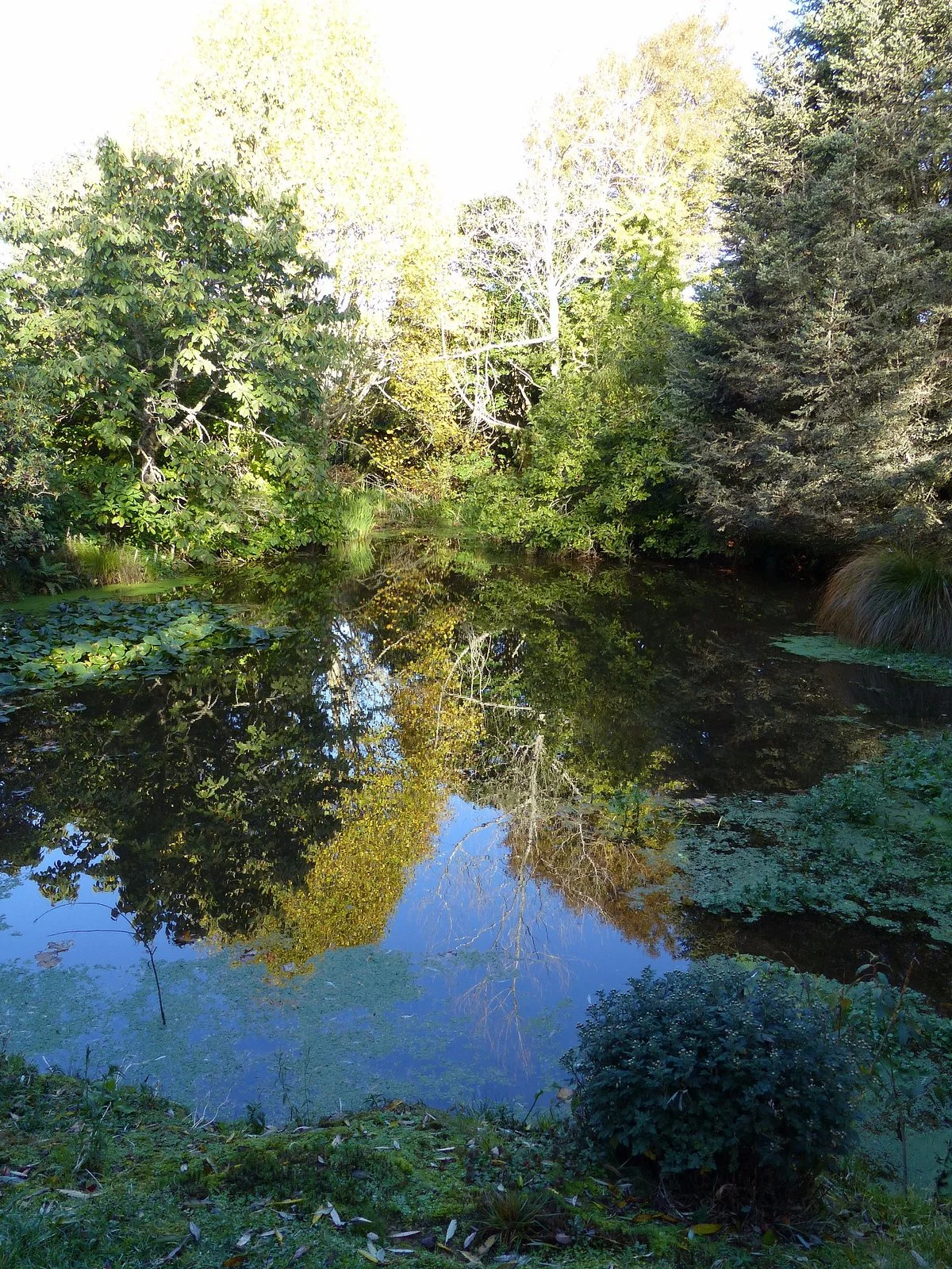 Tapuwae Gardens