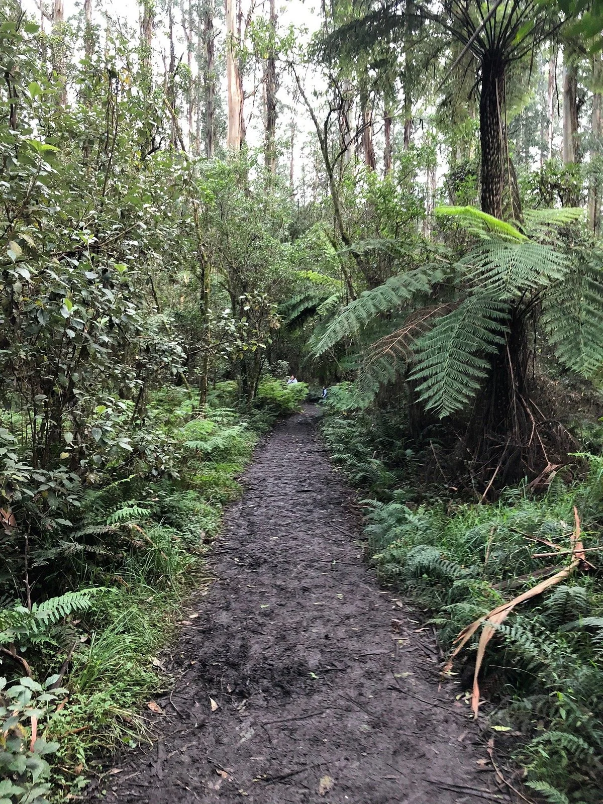 O'Donohue Picnic Ground