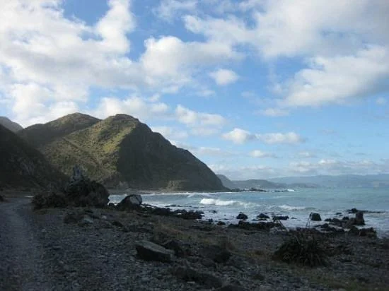 Owhiro Bay