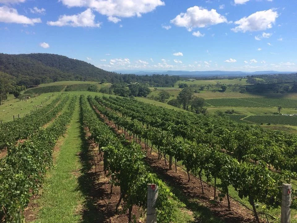 Eagles Rest Wines
