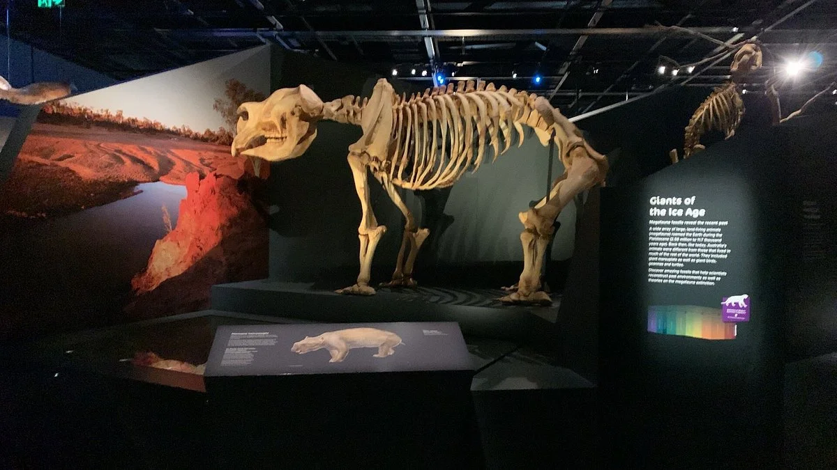Museum of Perth