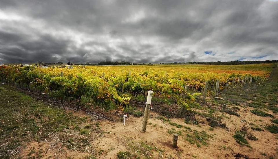 Karatta Wine Room & Gallery