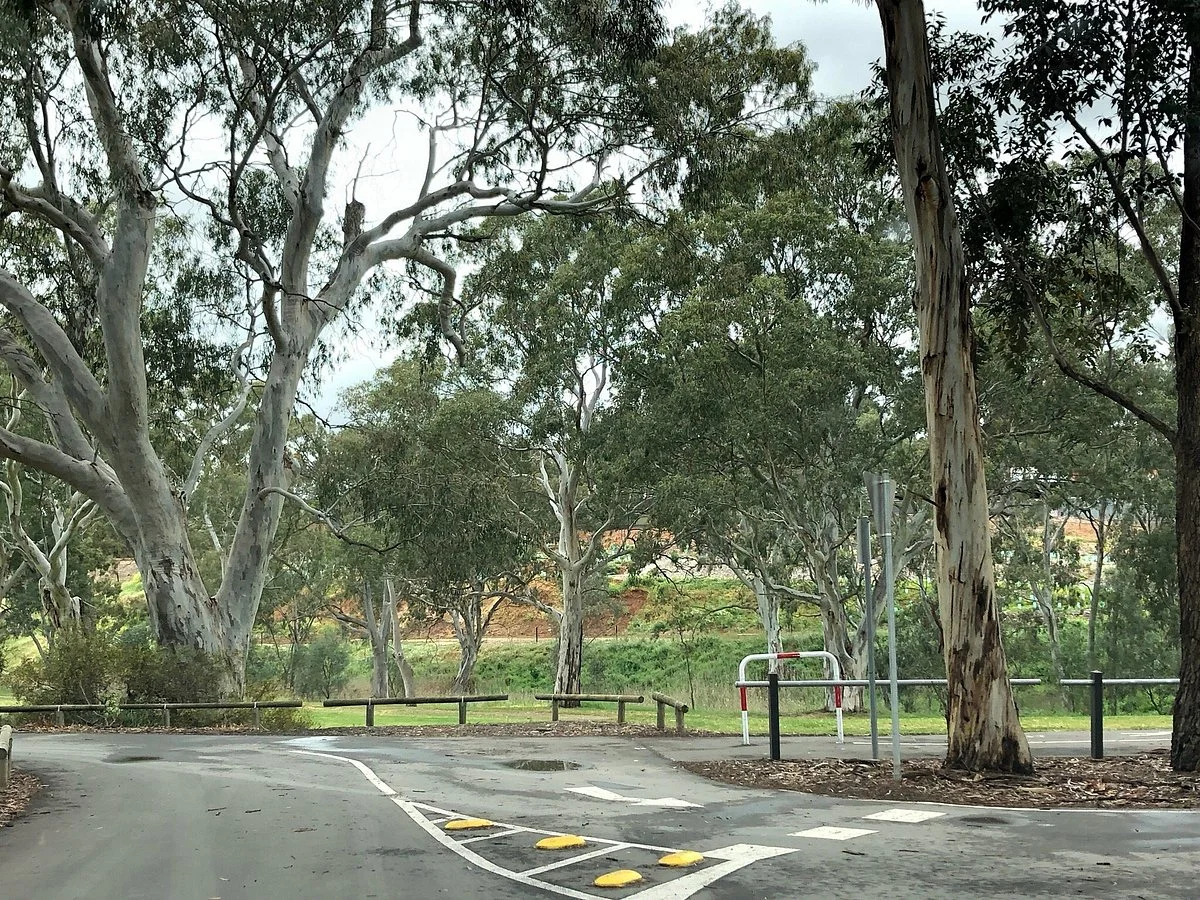 Gawler Skate Park