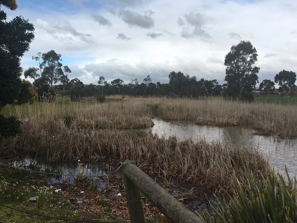 Troups Creek Retarding Basin