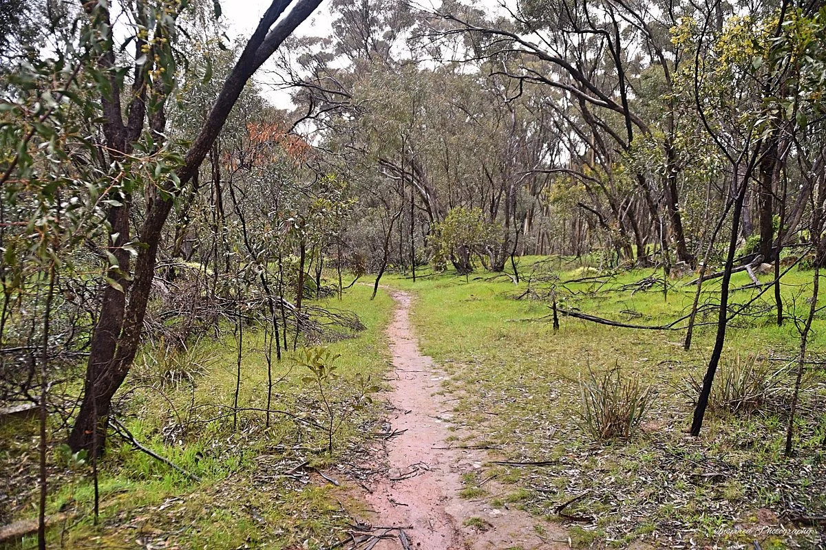 Pines Conservation Reserve
