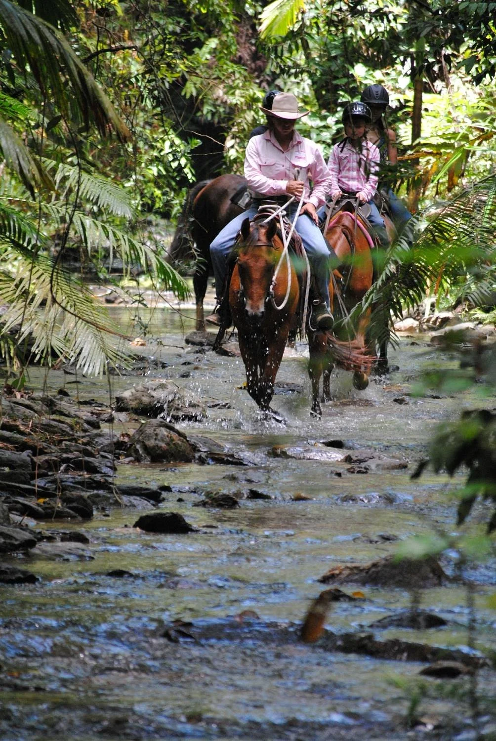 Daintree Station