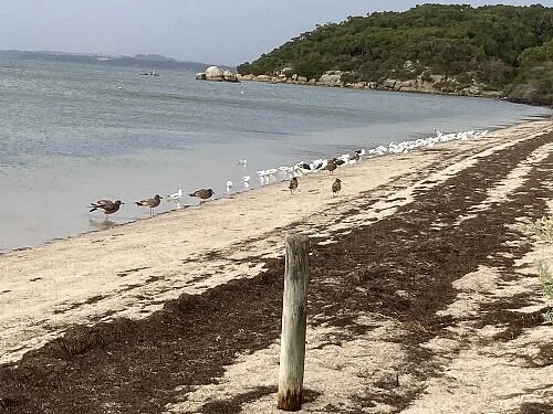 Corner Inlet Marine National Park