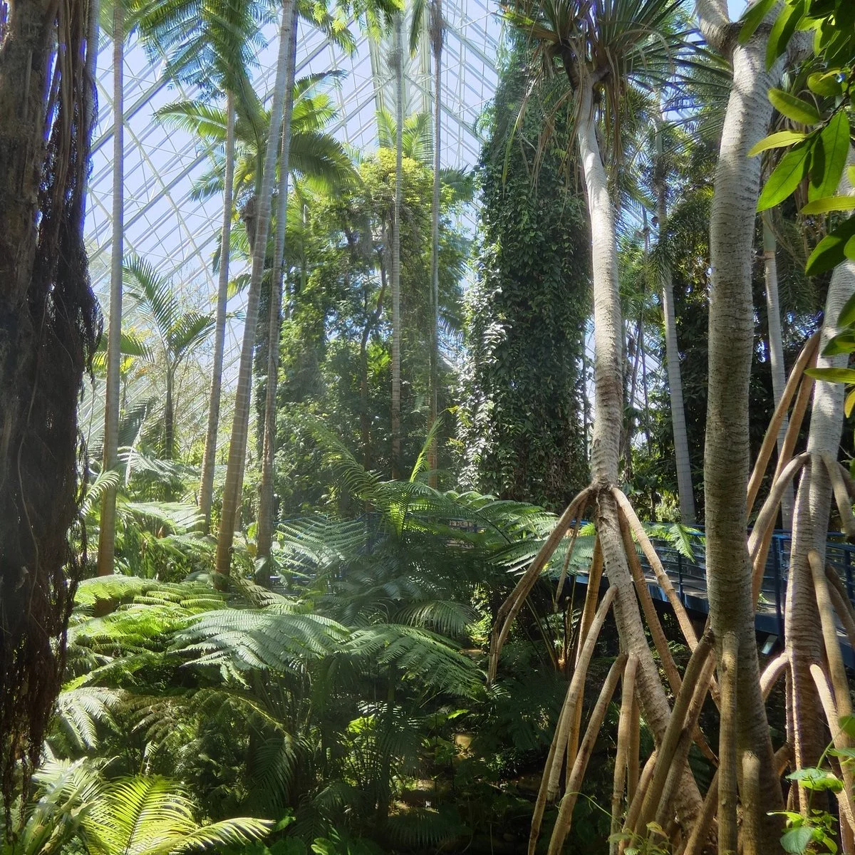 Bicentennial Conservatory