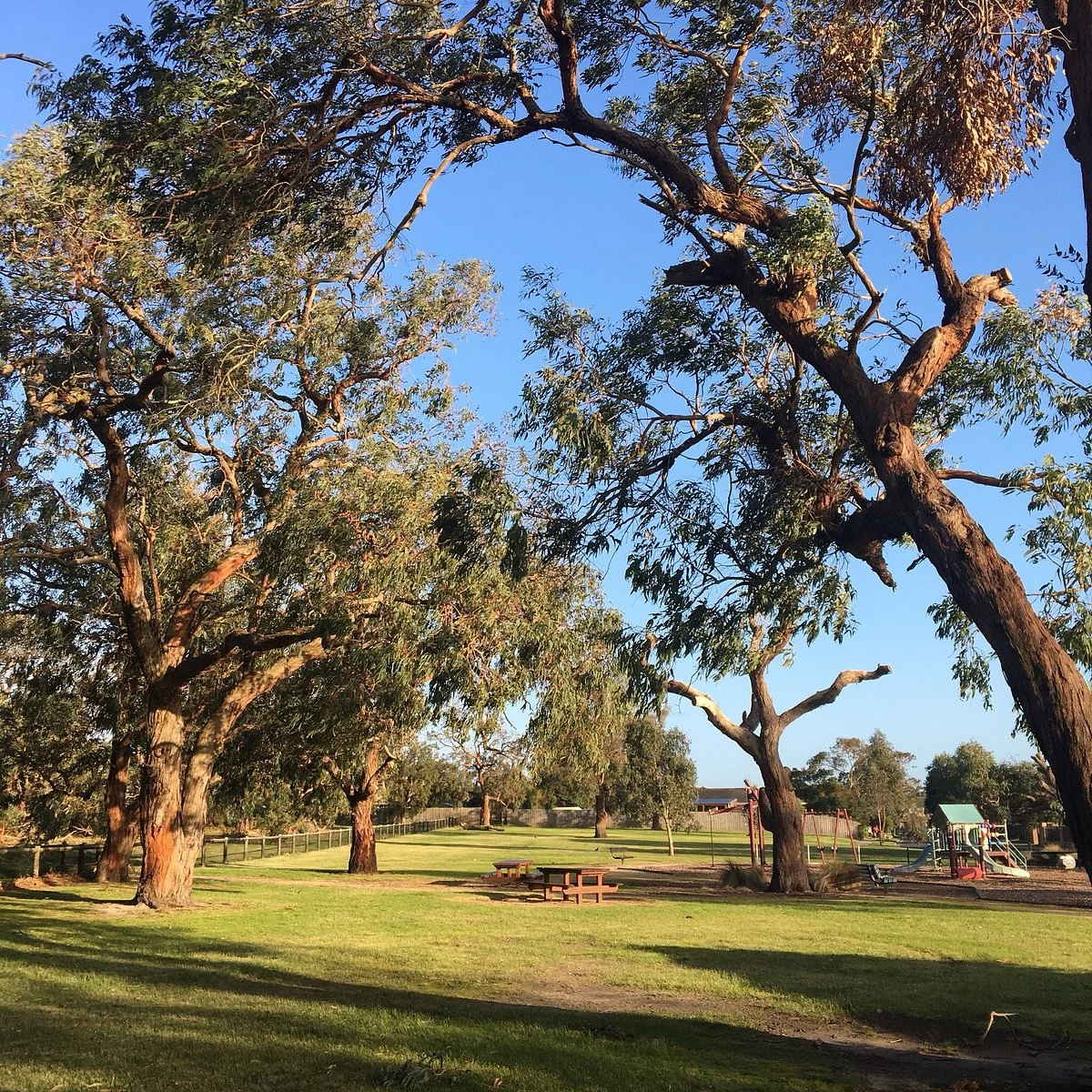 Witternberg Reserve