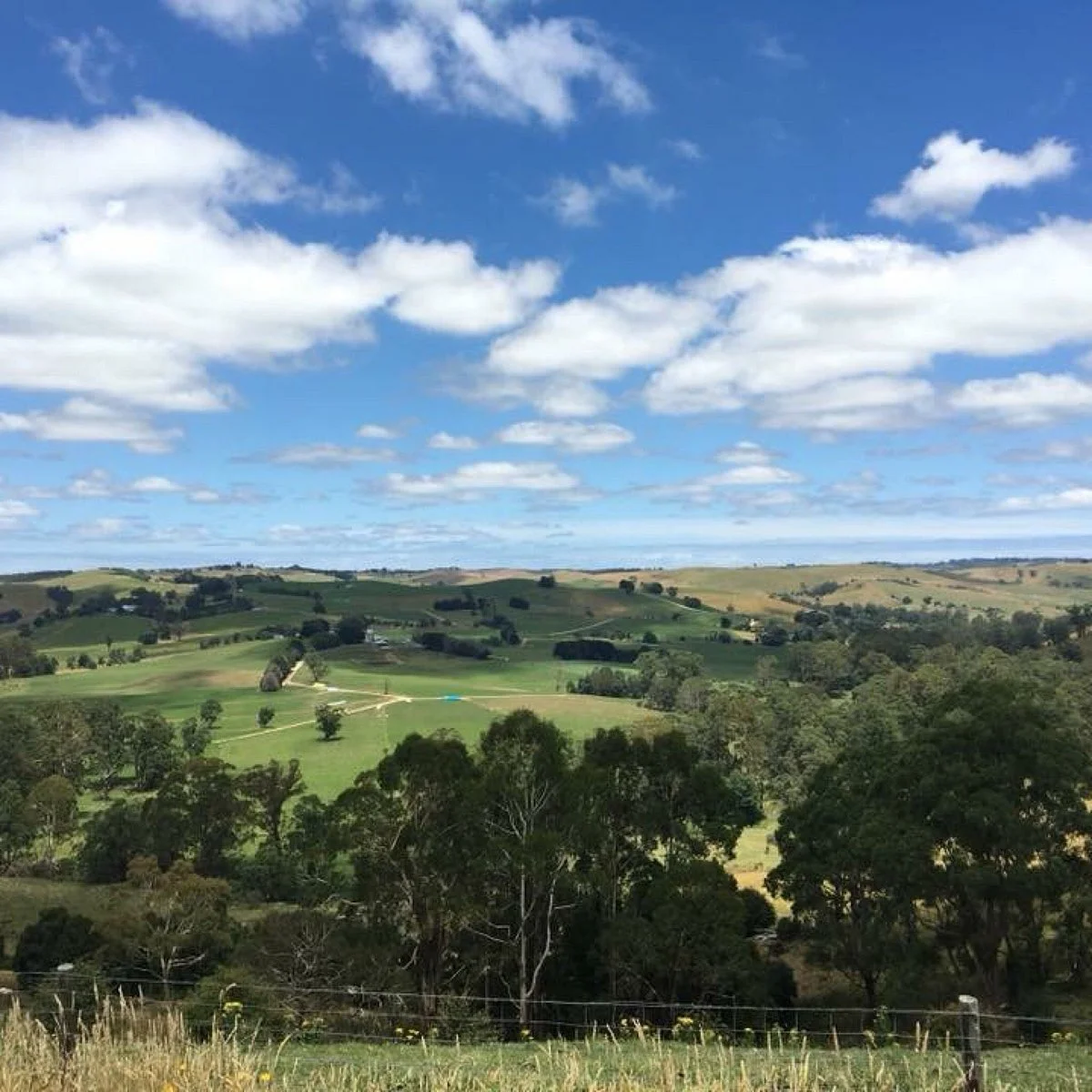 Henry Littledyke Reserve