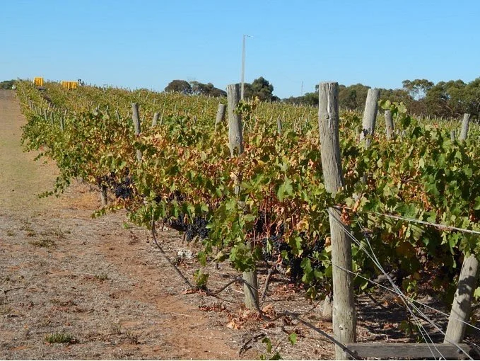 Ralph Fowler Wines