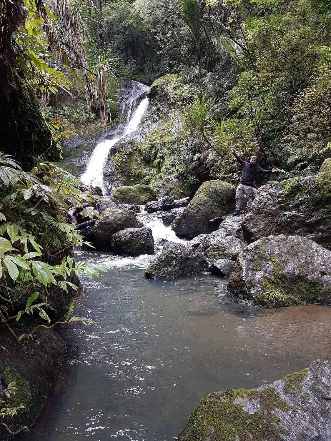 Waiotemarama Loop Track