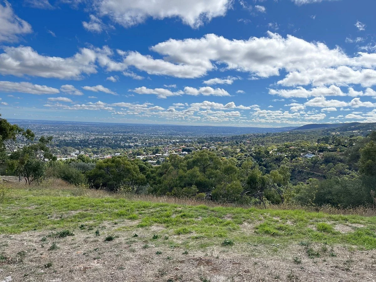 Skye Lookout