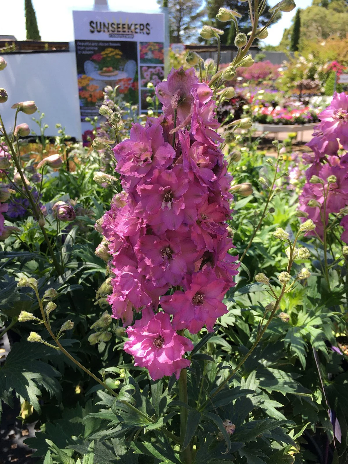 Garden World