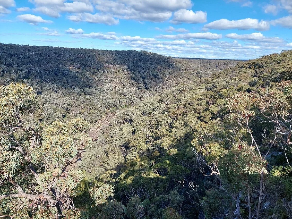 The Dharawal National Park