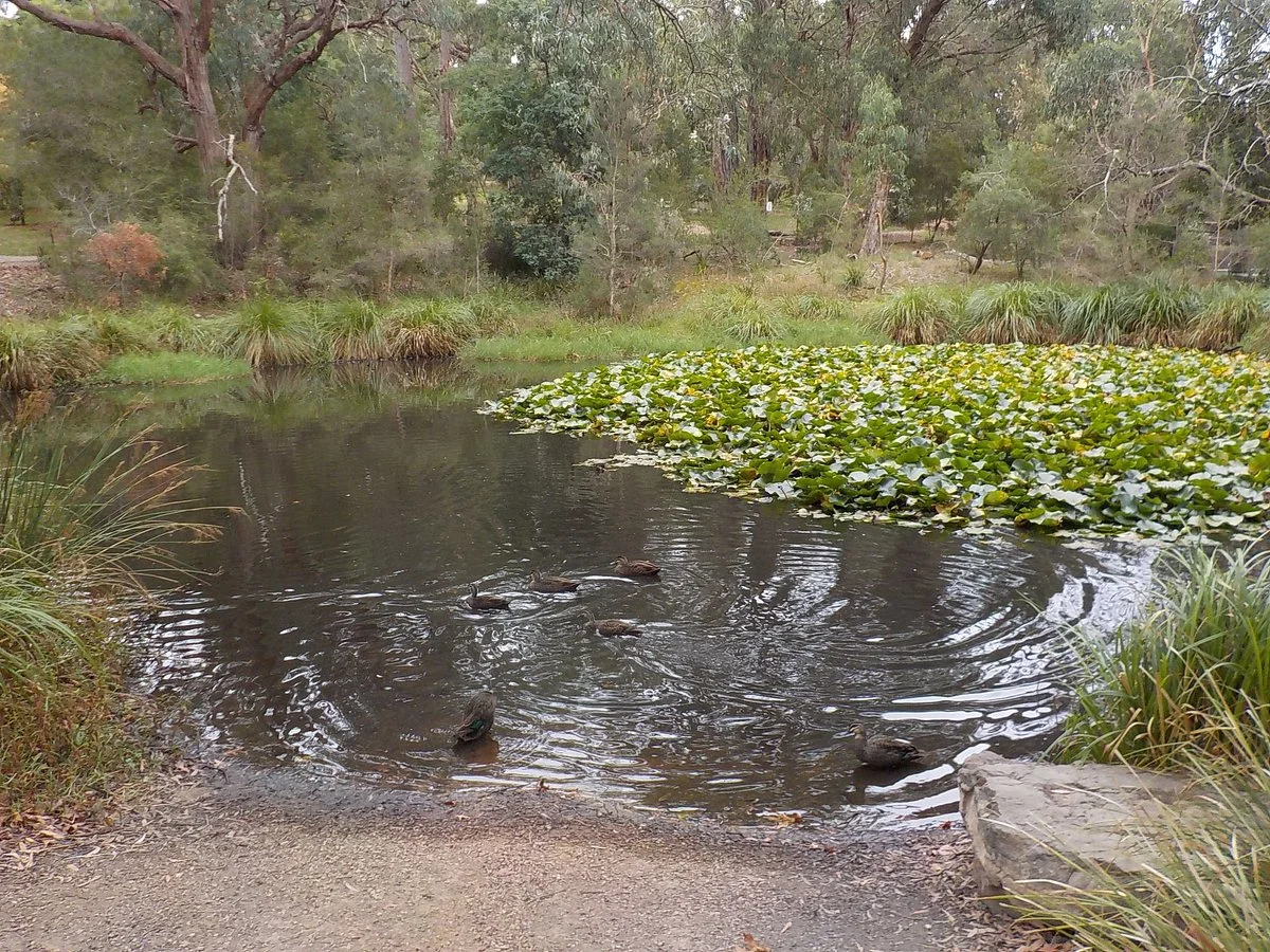 Buckanbe Park