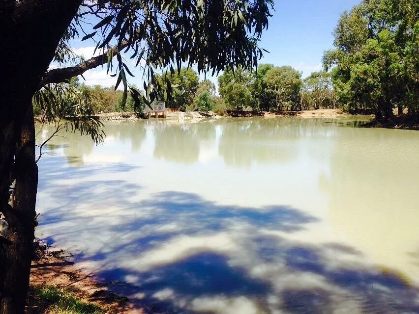 Redda's Park