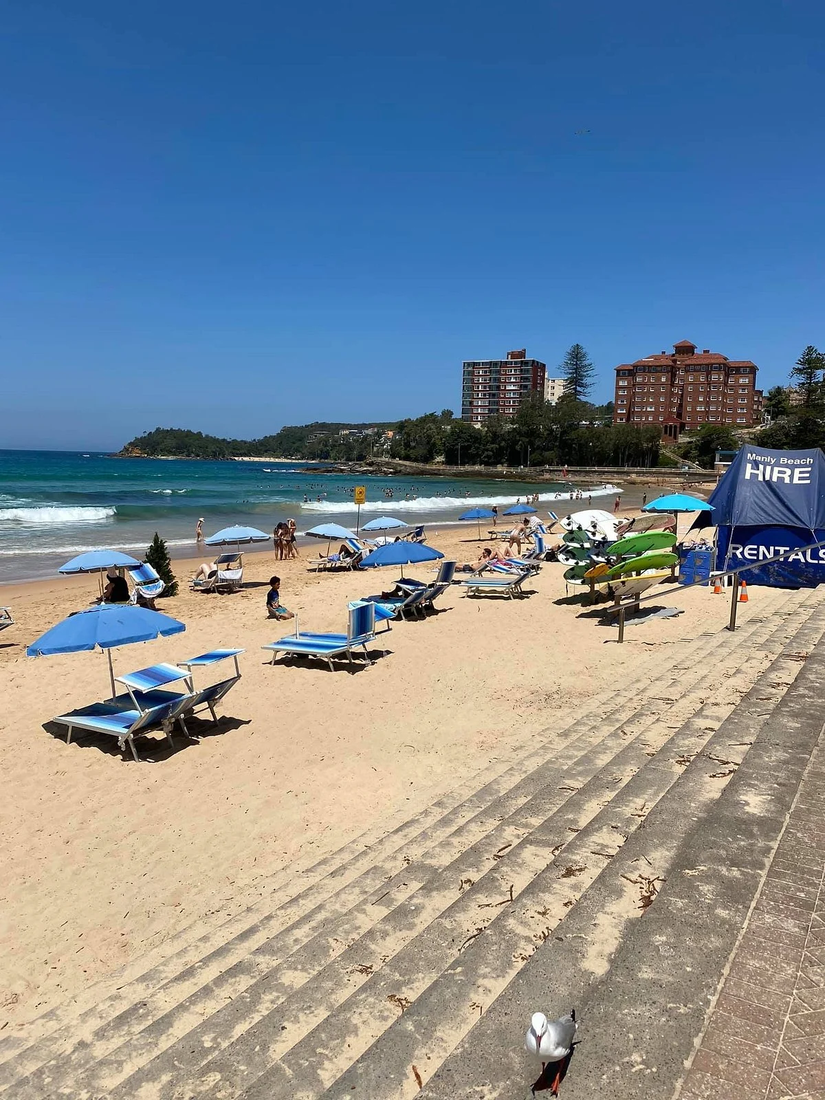 North Steyne Beach