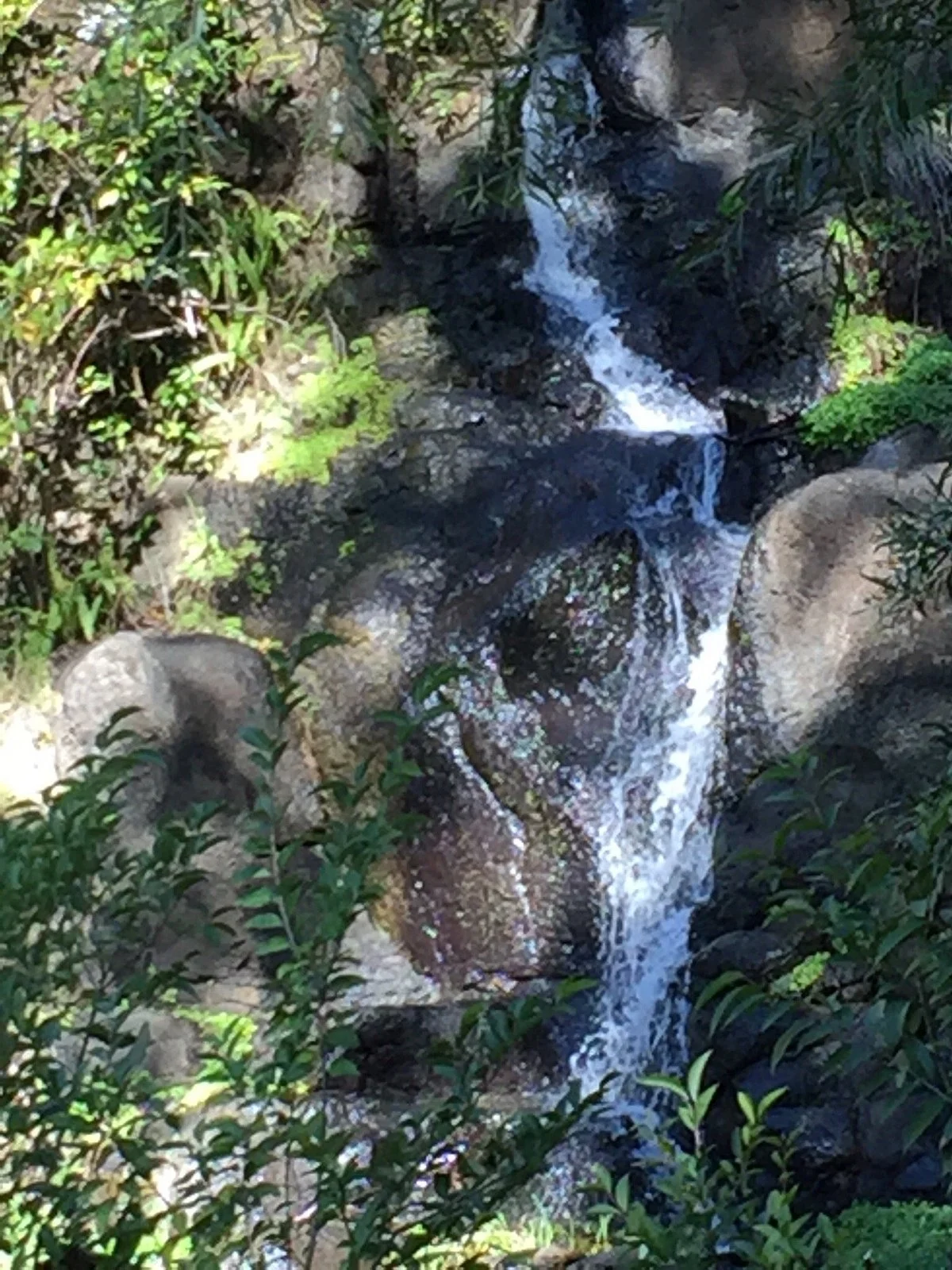 Highfields Falls