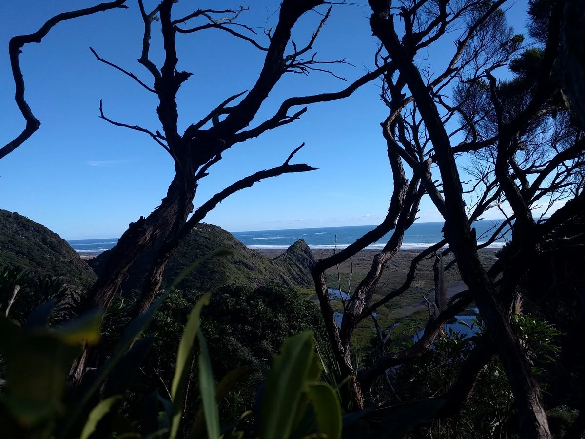 Pararaha Valley Track