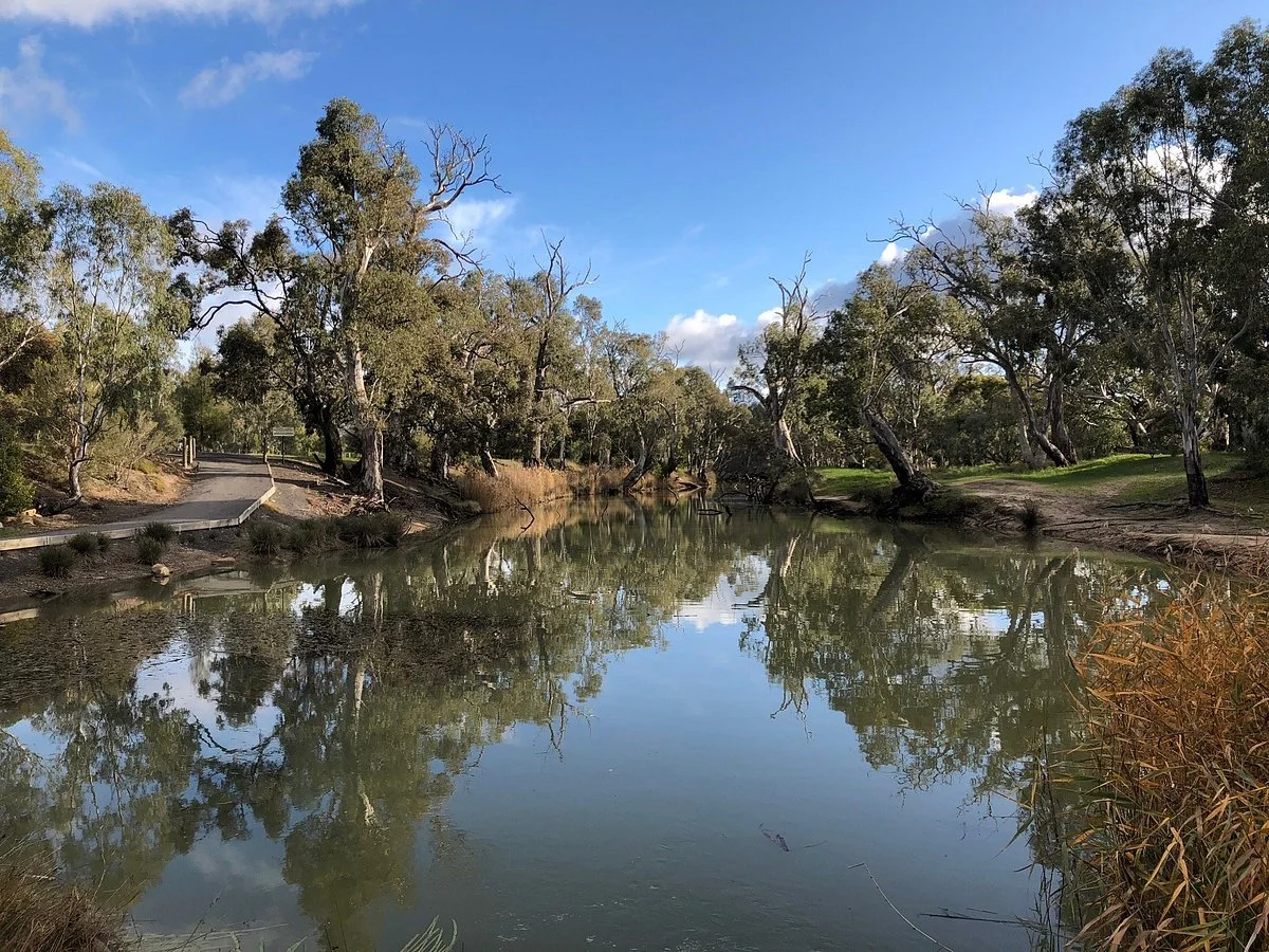 Yanga Track