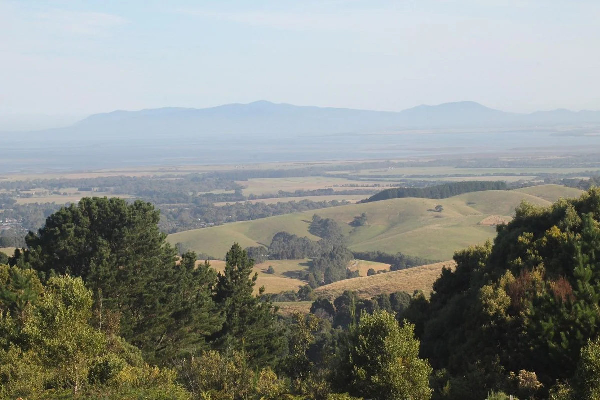 Foster North Scenic Lookout