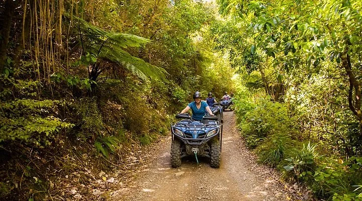 Kaimanawa Hills Farm