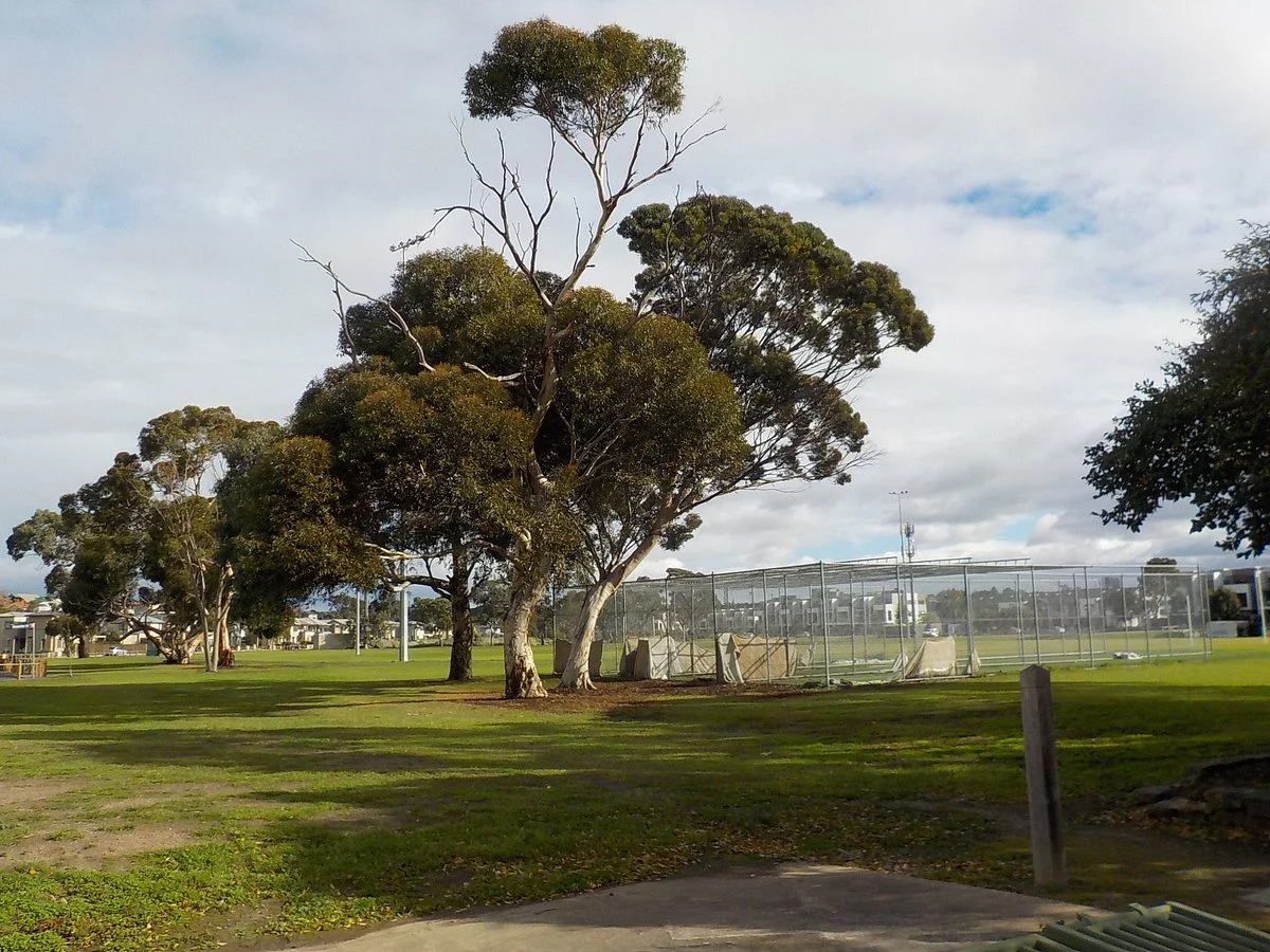 Walter Street Reserve Playground