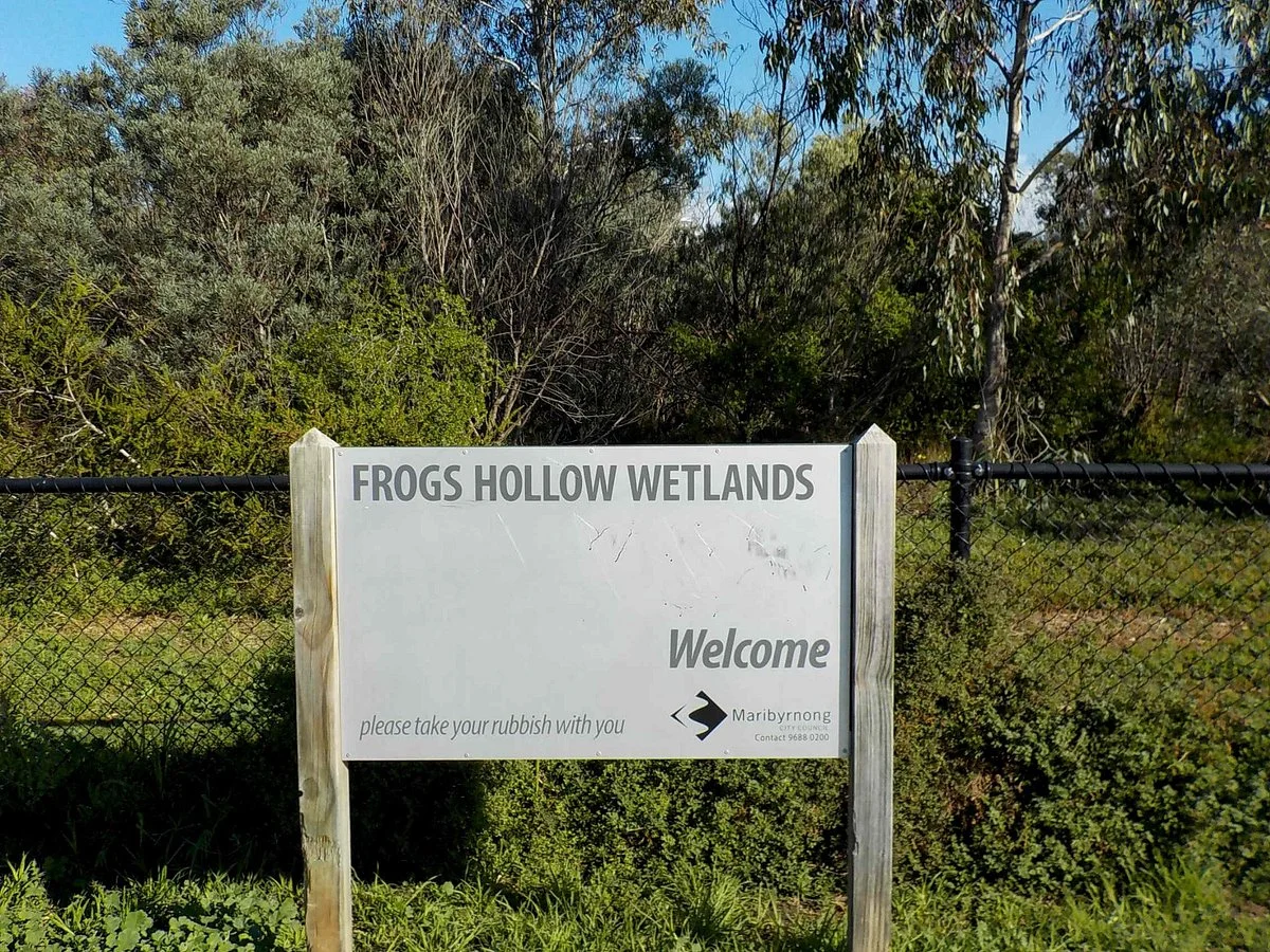 Frog's Hollow Wetlands