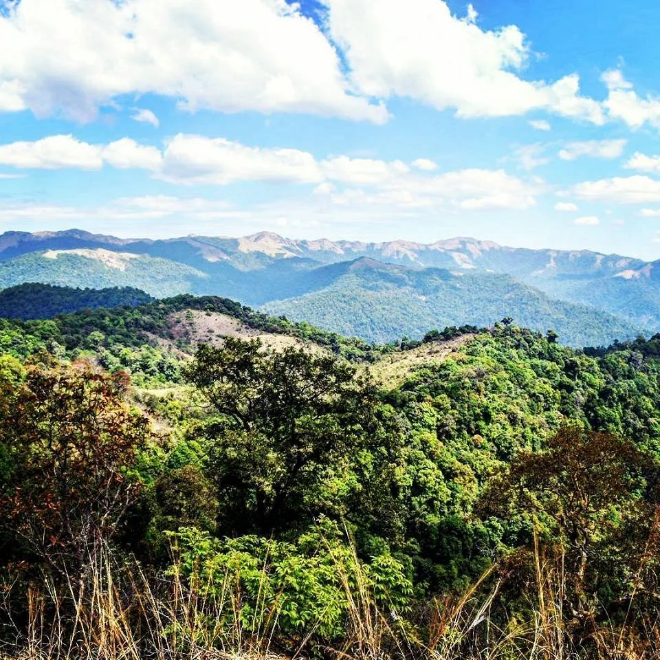 Kottancheri Hills