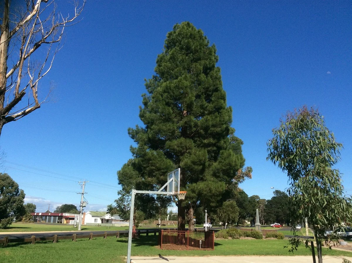 Glengarry Park