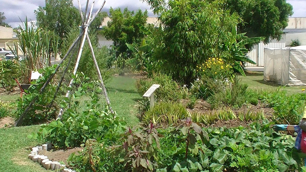 Armstrong Street Community Garden