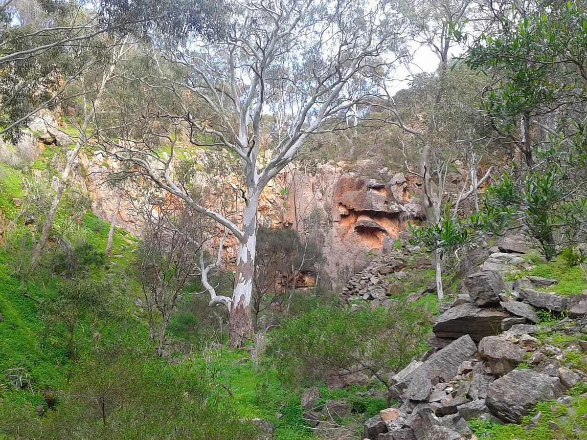 Black Hill Conservation Park