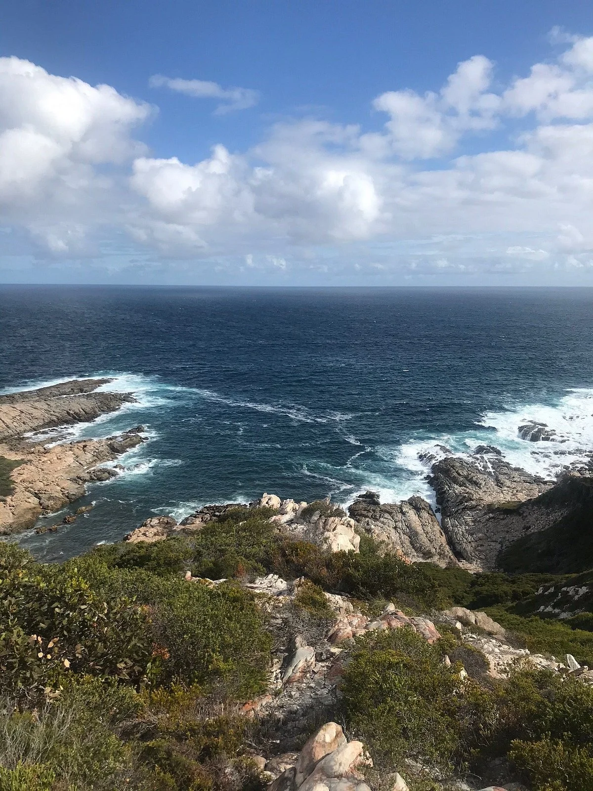 Hakea Trail