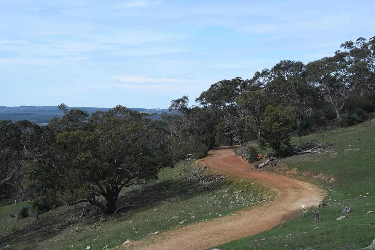 Warren Tower Hike