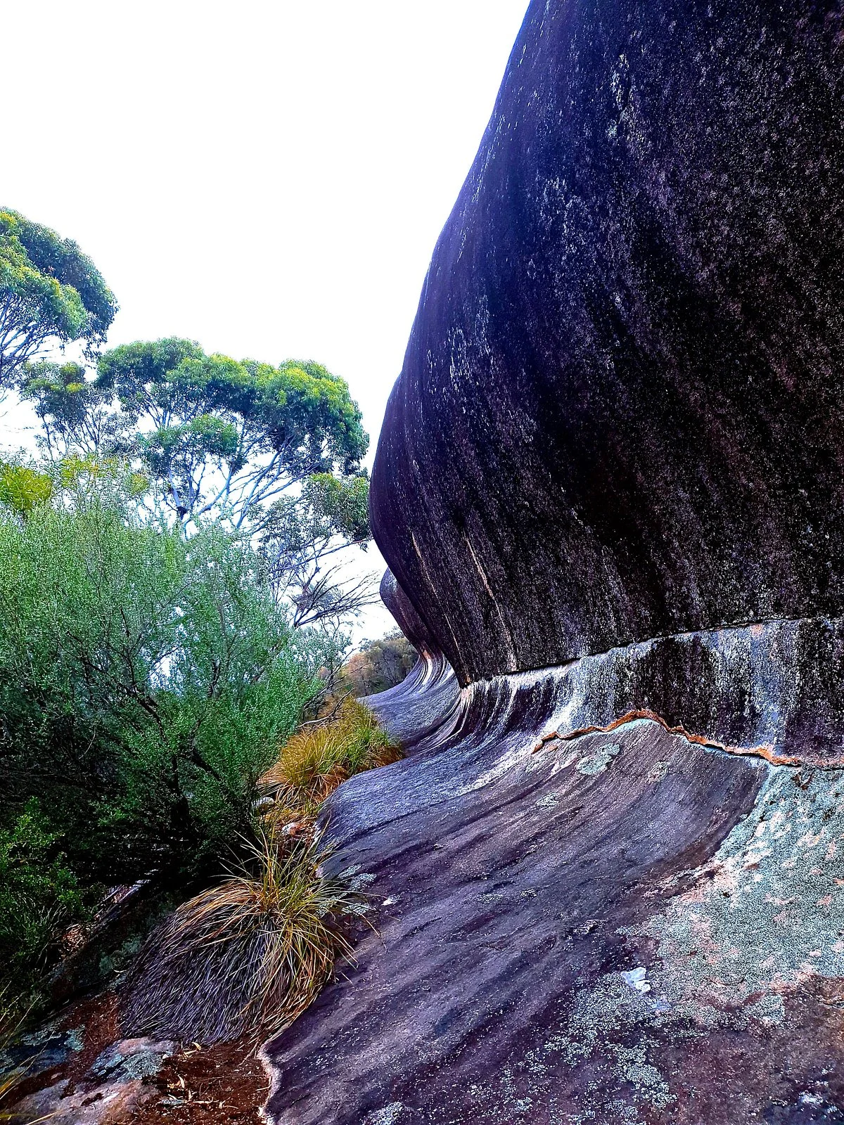Mount Ridley