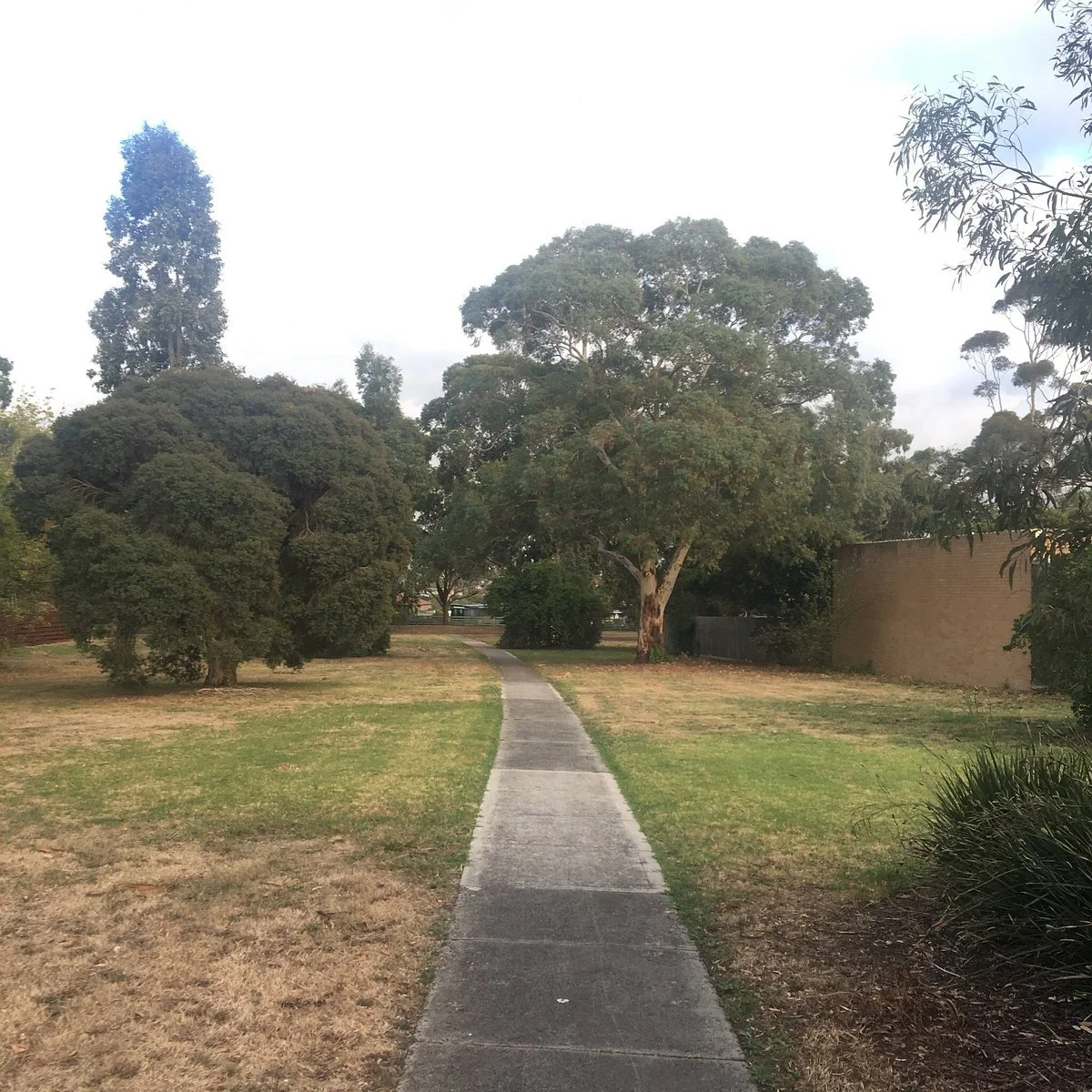 Lorna Wilson Reserve