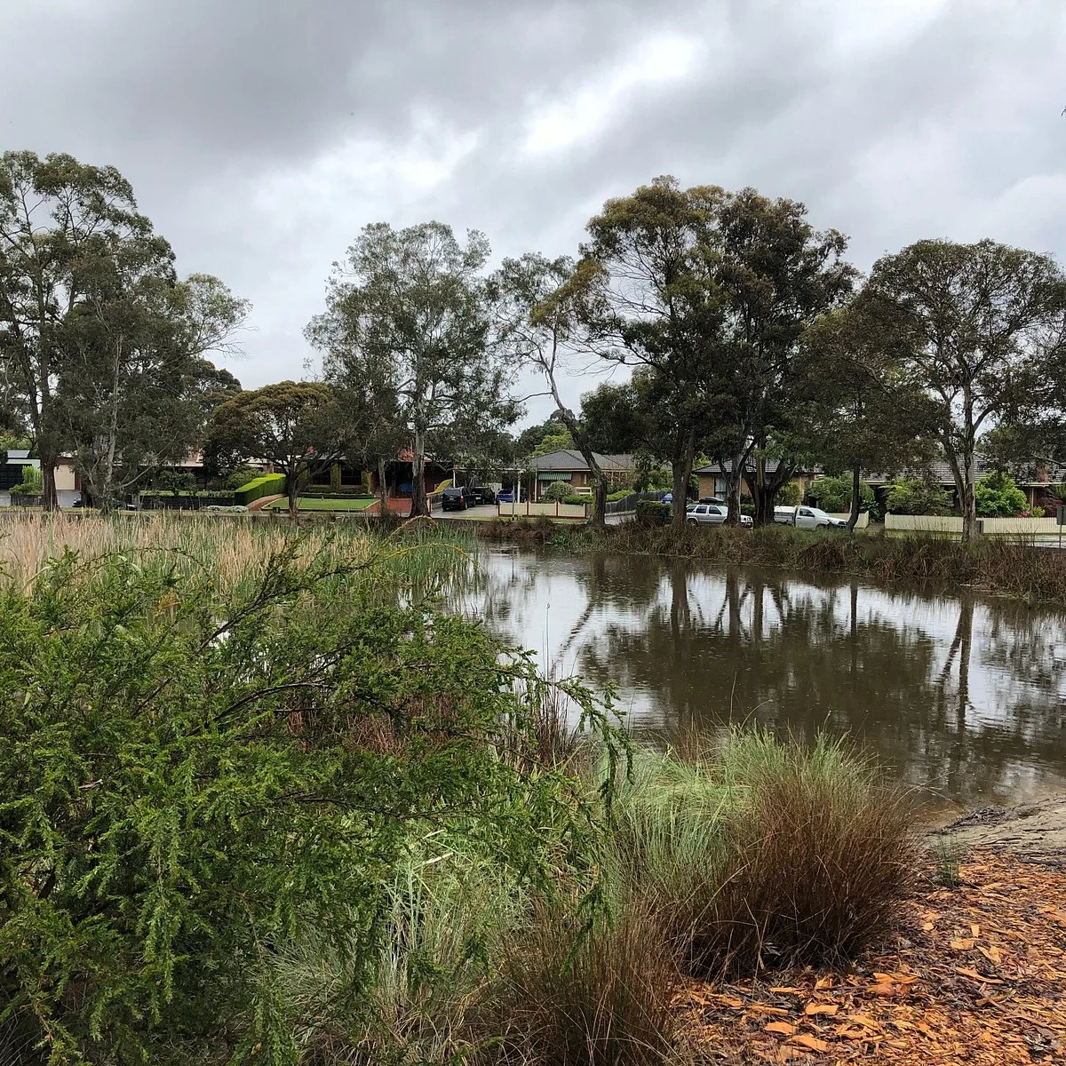 Shaxton Reserve