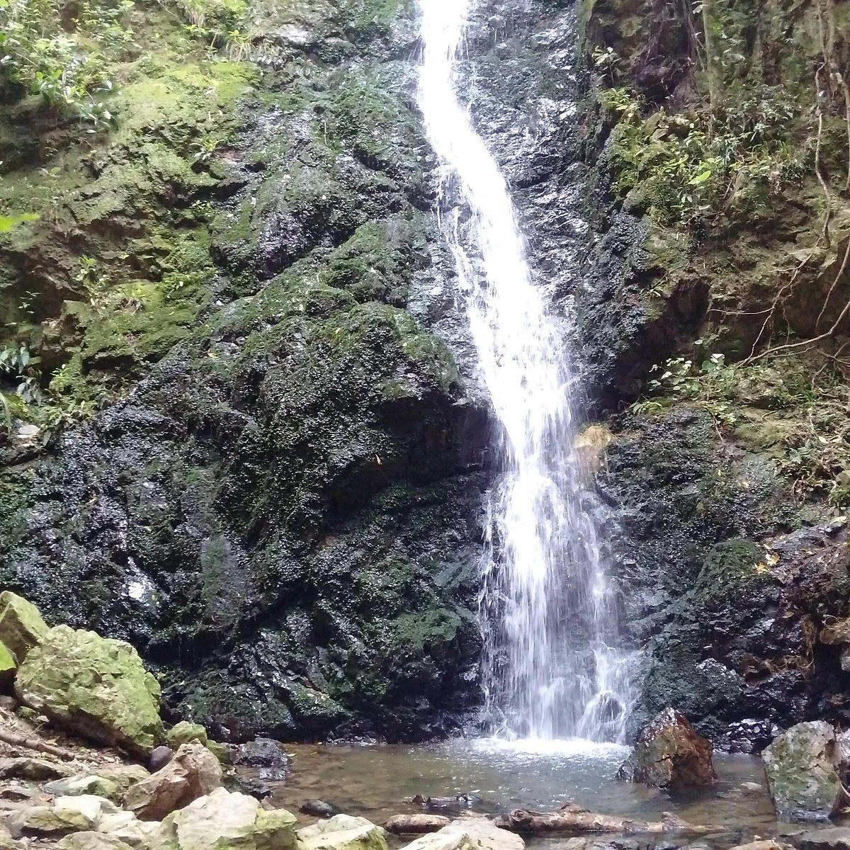 Percy's Reserve