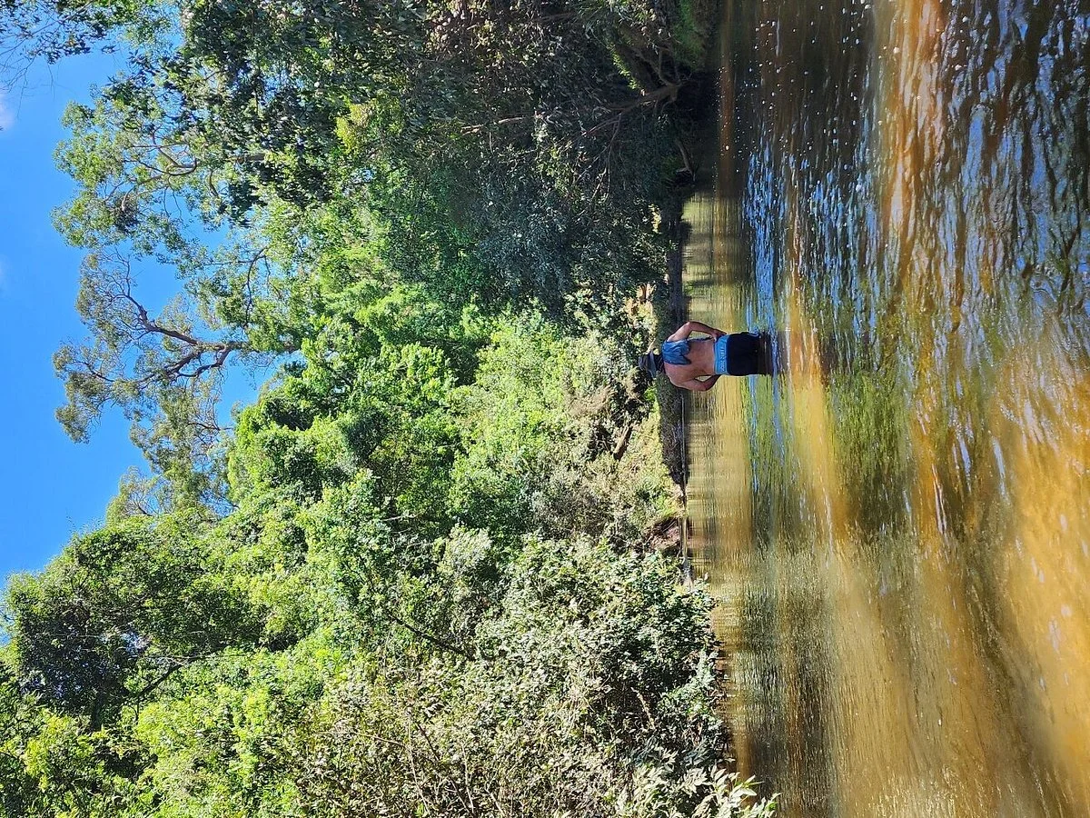 Brooyar State Forest