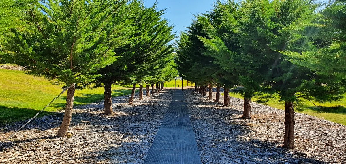 Soldiers Memorial Avenue