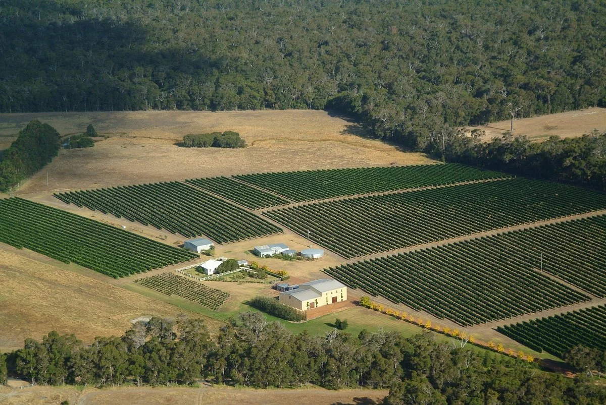 Rosily Vineyard