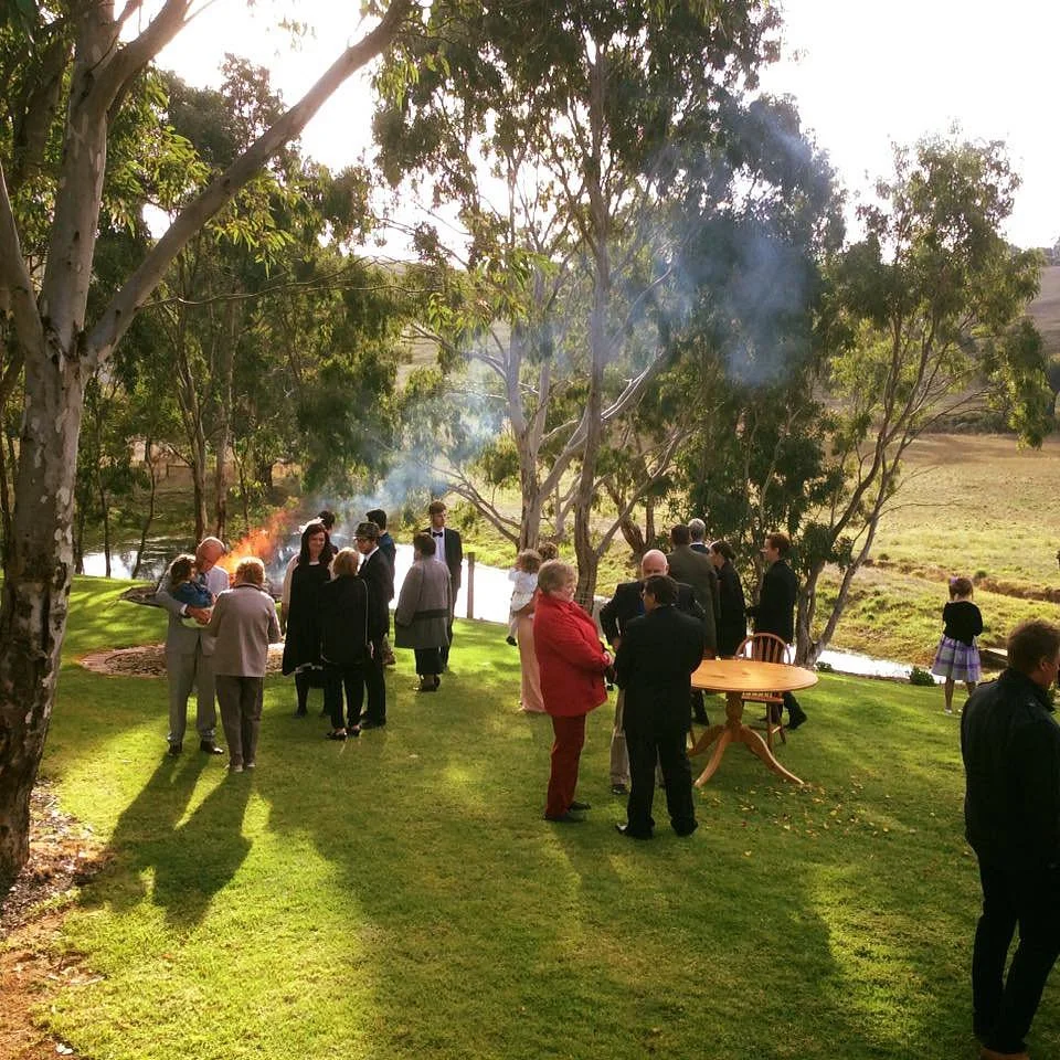 Fleurieu Hills Vineyard