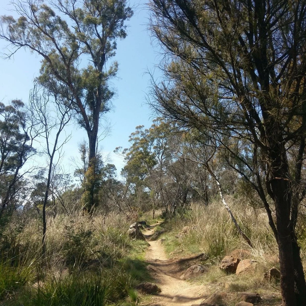 Kate Reed Nature Recreation Area